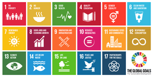 How business can collaborate to make the SDG happen?
